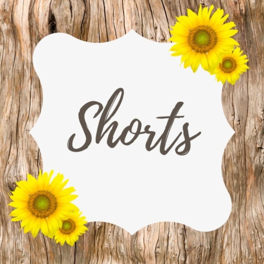 Shorts Casual & Dressy
